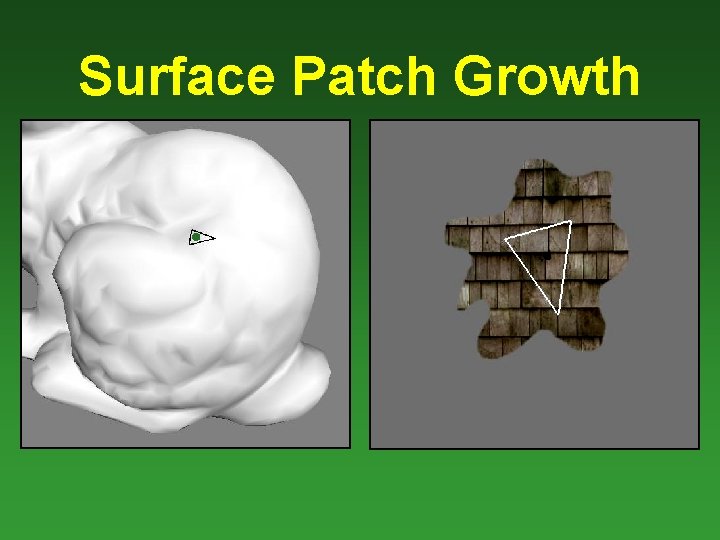 Surface Patch Growth 
