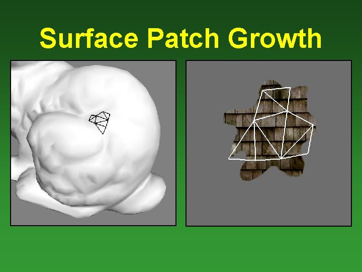 Surface Patch Growth 