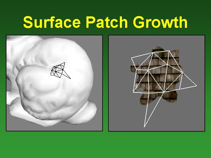Surface Patch Growth 