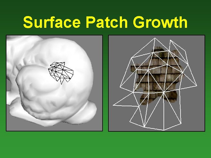 Surface Patch Growth 