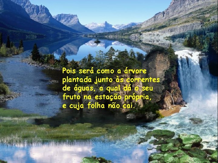 Pois será como a árvore plantada junto às correntes de águas, a qual dá