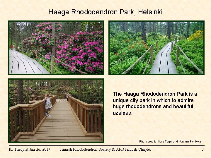 Haaga Rhododendron Park, Helsinki The Haaga Rhododendron Park is a unique city park in