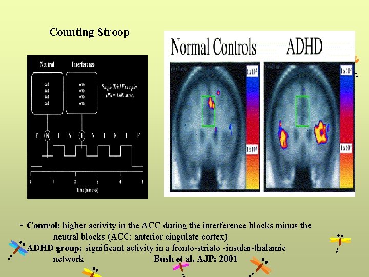 Counting Stroop - Control: higher activity in the ACC during the interference blocks minus