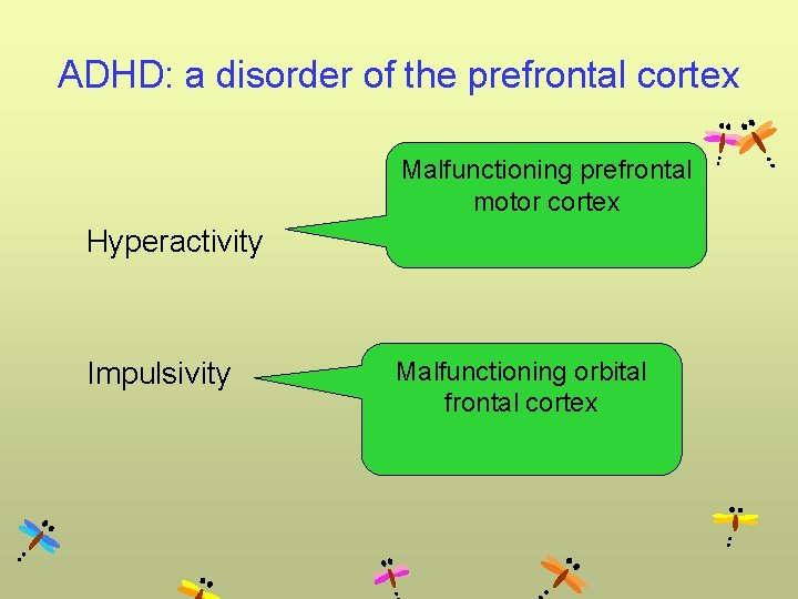 ADHD: a disorder of the prefrontal cortex Malfunctioning prefrontal motor cortex Hyperactivity Impulsivity Malfunctioning