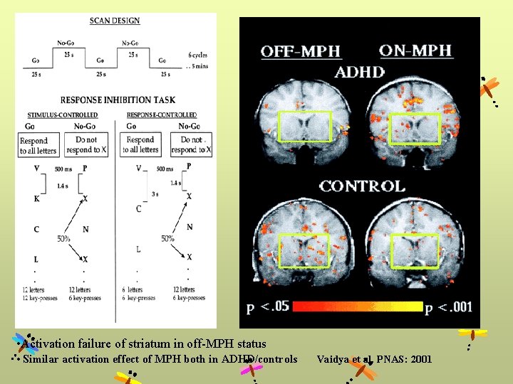  • Activation failure of striatum in off-MPH status • Similar activation effect of