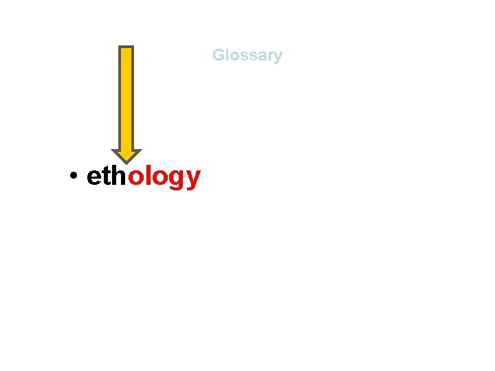 Glossary • ethology – comparative study of cultures Glossary • ethology – comparative study of cultures