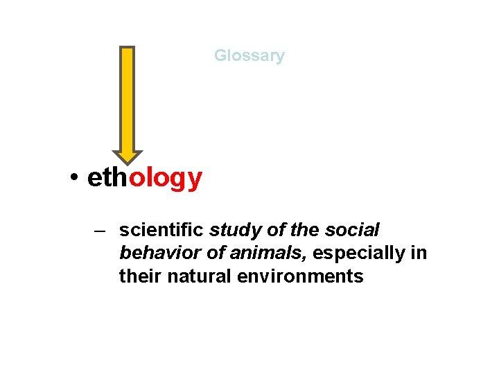 Glossary • ethology – scientific study of the social – comparative study of cultures Glossary • ethology – scientific study of the social – comparative study of cultures
