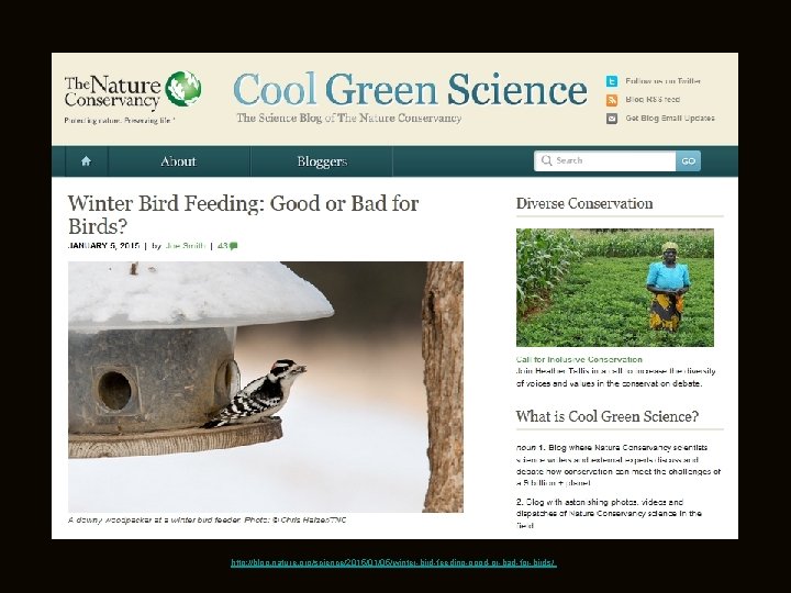 http: //blog. nature. org/science/2015/01/05/winter-bird-feeding-good-or-bad-for-birds/ http: //blog. nature. org/science/2015/01/05/winter-bird-feeding-good-or-bad-for-birds/
