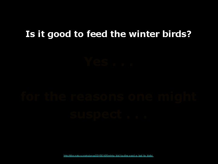 Is it good to feed the winter birds? Yes. . . for the reasons Is it good to feed the winter birds? Yes. . . for the reasons