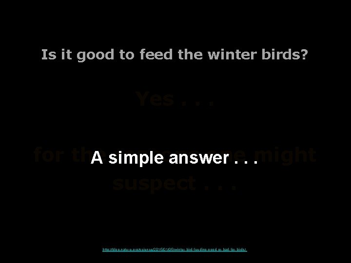 Is it good to feed the winter birds? Yes. . . for the reasons Is it good to feed the winter birds? Yes. . . for the reasons