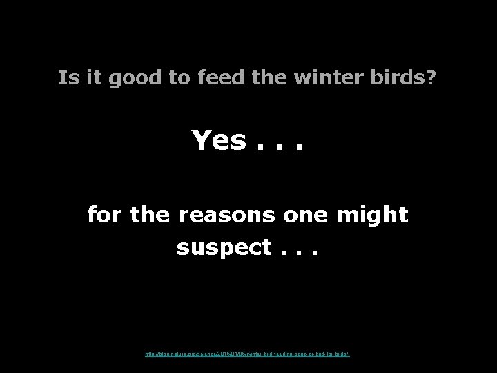 Is it good to feed the winter birds? Yes. . . for the reasons Is it good to feed the winter birds? Yes. . . for the reasons