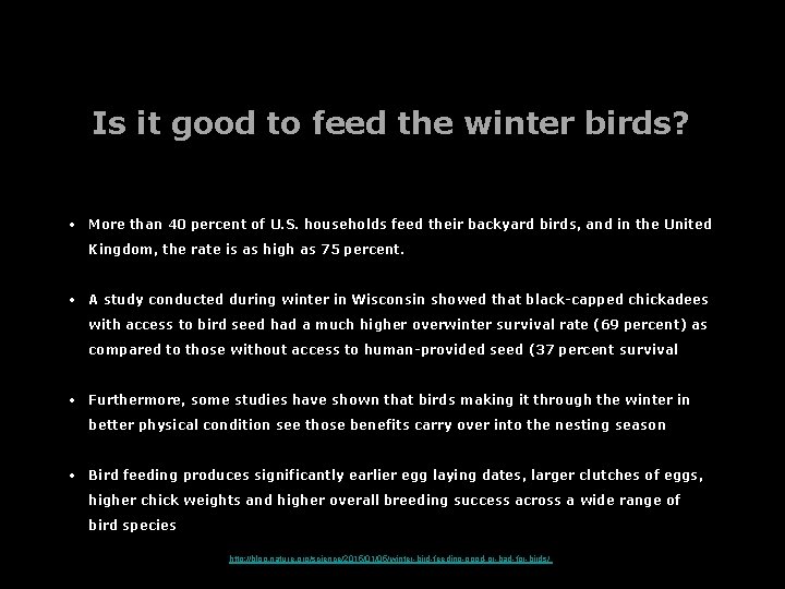 Is it good to feed the winter birds? • More than 40 percent of Is it good to feed the winter birds? • More than 40 percent of