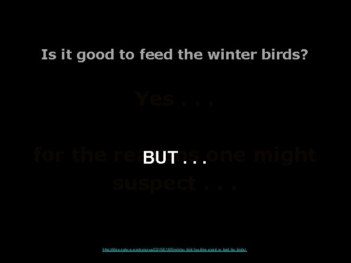 Is it good to feed the winter birds? Yes. . . for the reasons Is it good to feed the winter birds? Yes. . . for the reasons