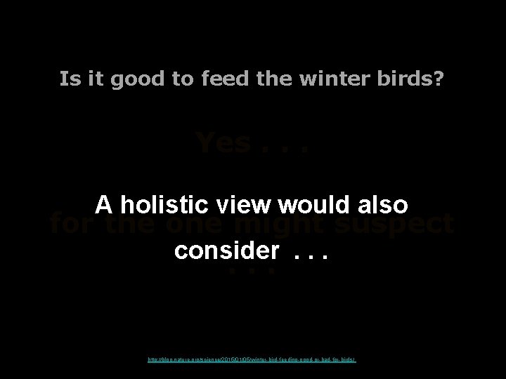Is it good to feed the winter birds? Yes. . . A holistic view Is it good to feed the winter birds? Yes. . . A holistic view