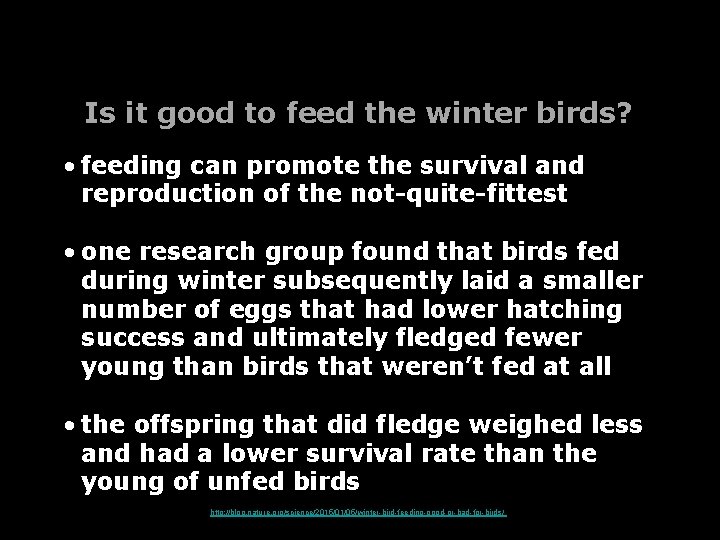 Is it good to feed the winter birds? • feeding can promote the survival Is it good to feed the winter birds? • feeding can promote the survival