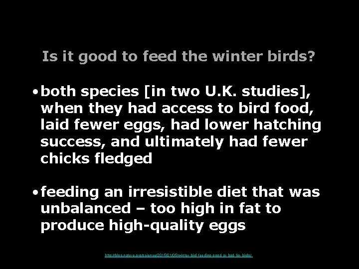Is it good to feed the winter birds? • both species [in two U. Is it good to feed the winter birds? • both species [in two U.