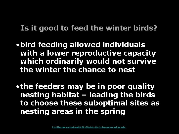 Is it good to feed the winter birds? • bird feeding allowed individuals with Is it good to feed the winter birds? • bird feeding allowed individuals with