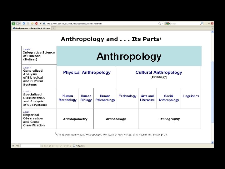 Anthropology Anthropology