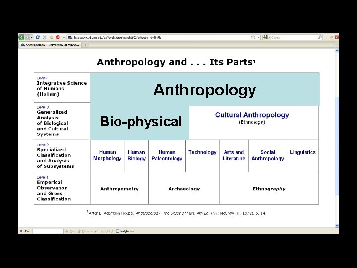 Anthropology Bio-physical Anthropology Bio-physical