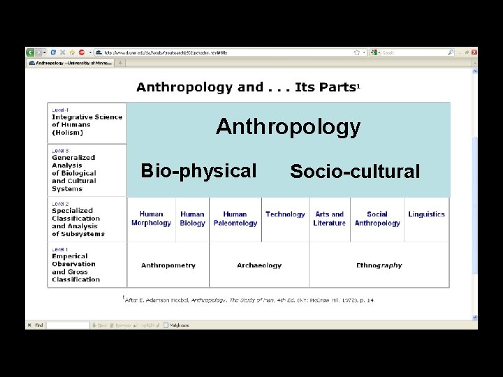 Anthropology Bio-physical Socio-cultural Anthropology Bio-physical Socio-cultural