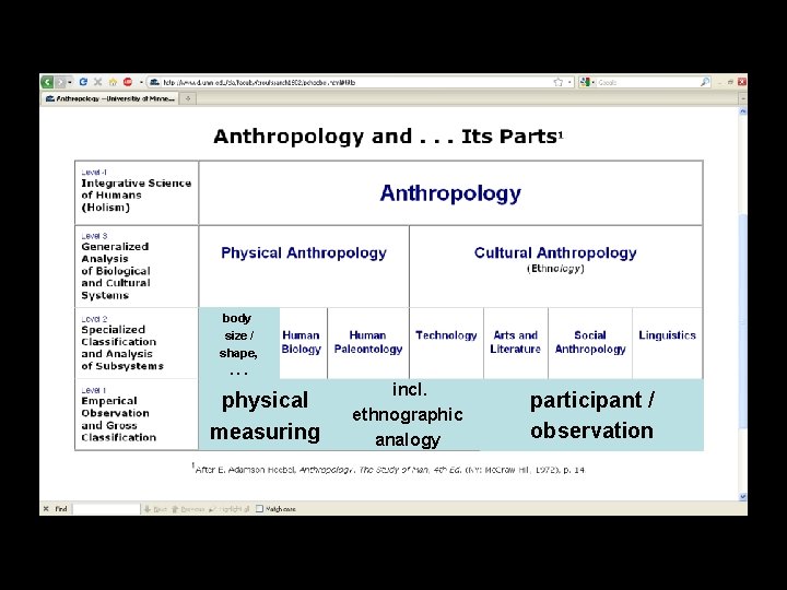 body size / shape, . . . physical measuring incl. ethnographic analogy participant / body size / shape, . . . physical measuring incl. ethnographic analogy participant /