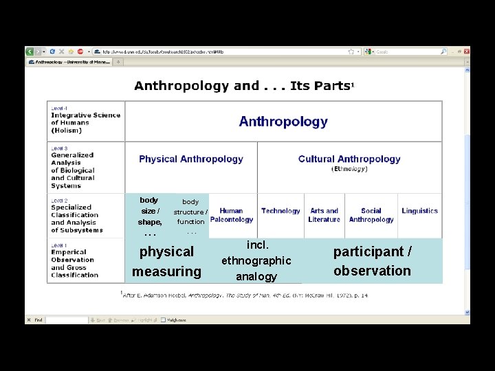 body size / shape, . . . body structure / function. . . physical body size / shape, . . . body structure / function. . . physical