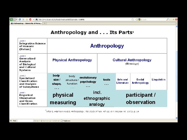 body size / shape, . . . body evolutionary structure / psychology function. . body size / shape, . . . body evolutionary structure / psychology function. .