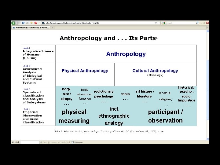 body size / shape, . . . body evolutionary structure / psychology function. . body size / shape, . . . body evolutionary structure / psychology function. .