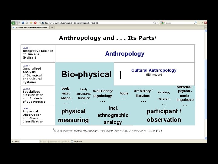 Bio-physical | body size / shape, . . . body evolutionary structure / psychology Bio-physical | body size / shape, . . . body evolutionary structure / psychology