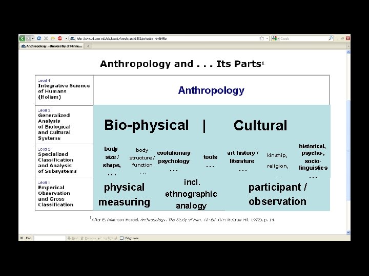 Bio-physical | body size / shape, . . . body evolutionary structure / psychology Bio-physical | body size / shape, . . . body evolutionary structure / psychology