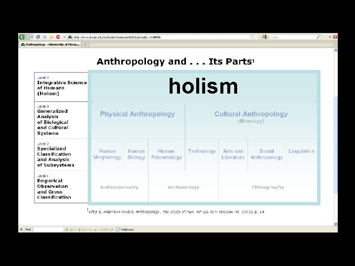 holism holism