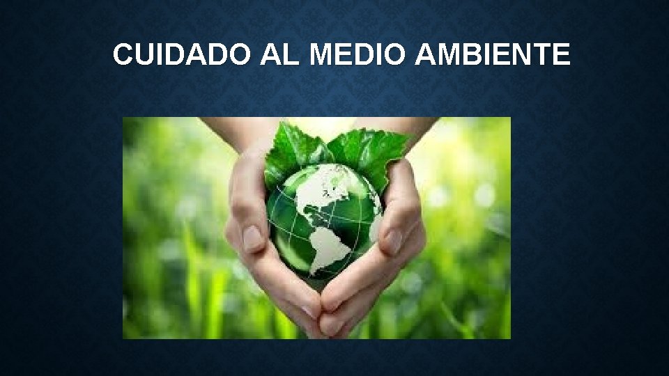 CUIDADO AL MEDIO AMBIENTE 