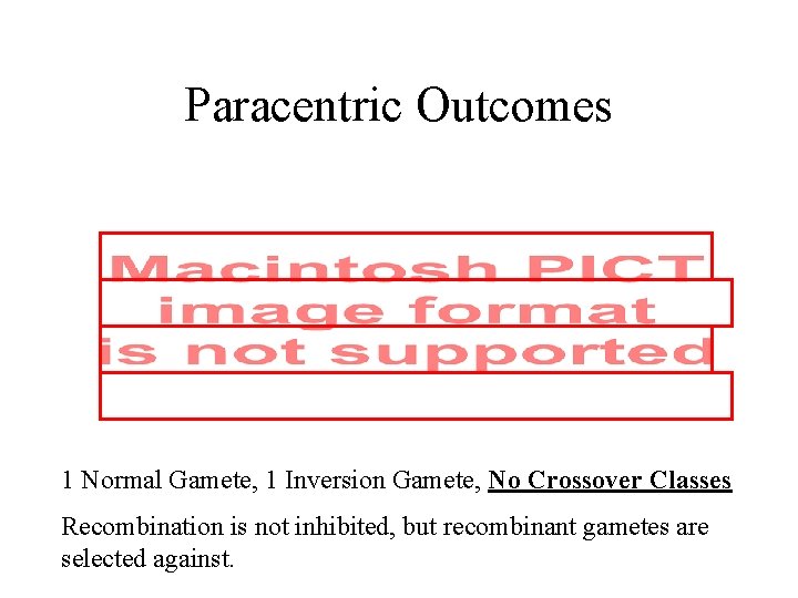 Paracentric Outcomes 1 Normal Gamete, 1 Inversion Gamete, No Crossover Classes Recombination is not