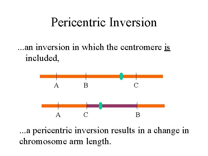 Pericentric Inversion. . . an inversion in which the centromere is included, A B