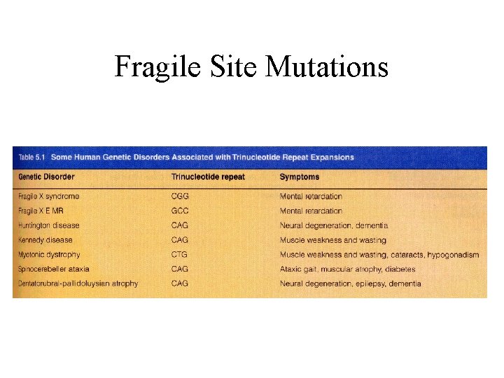 Fragile Site Mutations 
