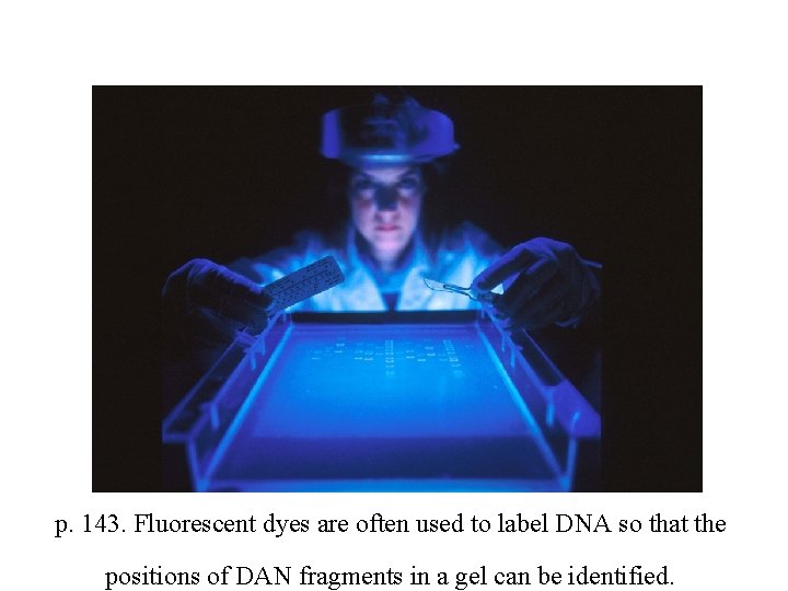 p. 143. Fluorescent dyes are often used to label DNA so that the positions