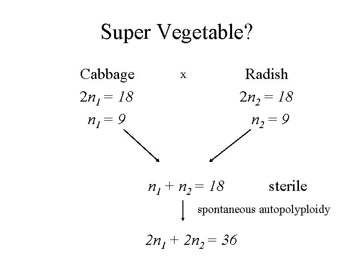 Super Vegetable? Cabbage 2 n 1 = 18 n 1 = 9 Radish 2