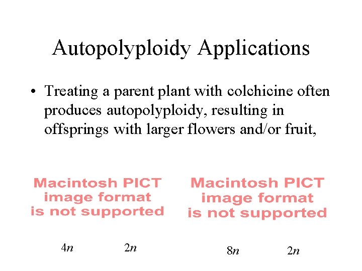 Autopolyploidy Applications • Treating a parent plant with colchicine often produces autopolyploidy, resulting in