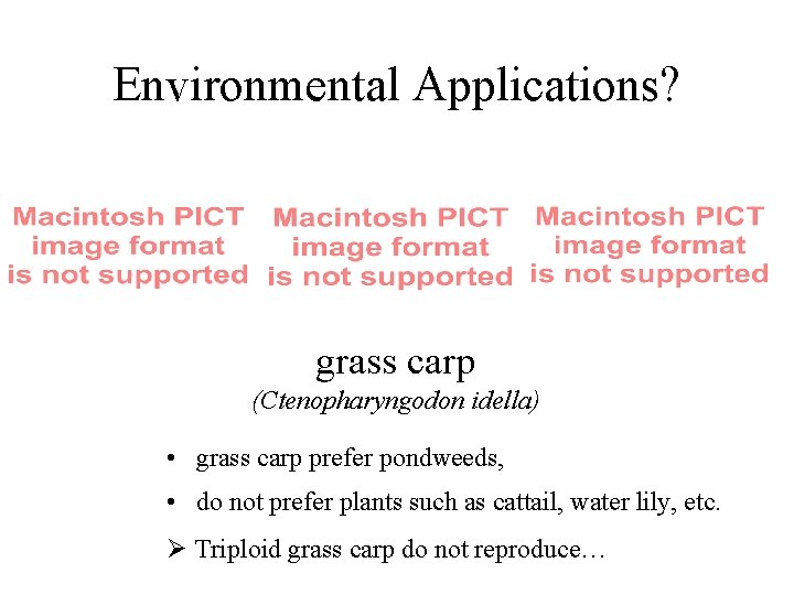 Environmental Applications? grass carp (Ctenopharyngodon idella) • grass carp prefer pondweeds, • do not