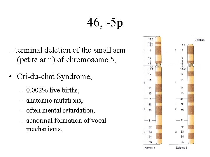 46, -5 p. . . terminal deletion of the small arm (petite arm) of