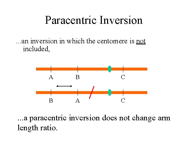 Paracentric Inversion. . . an inversion in which the centomere is not included, A