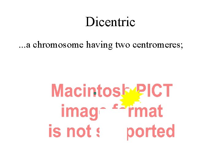 Dicentric. . . a chromosome having two centromeres; 