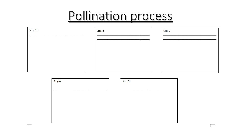 Pollination process 