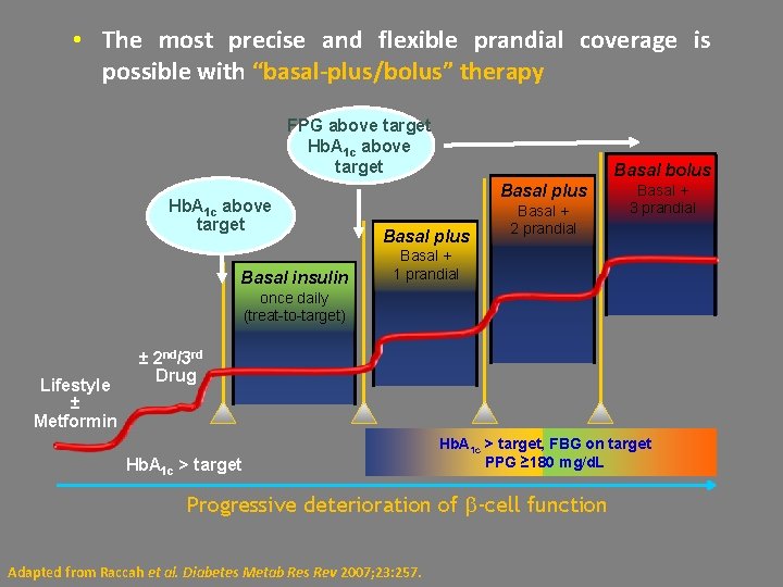  • The most precise and flexible prandial coverage is possible with “basal-plus/bolus” therapy