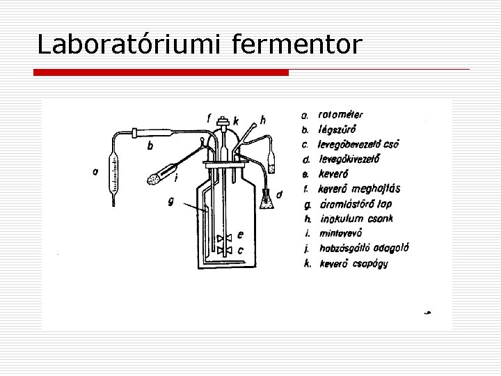 Laboratóriumi fermentor 