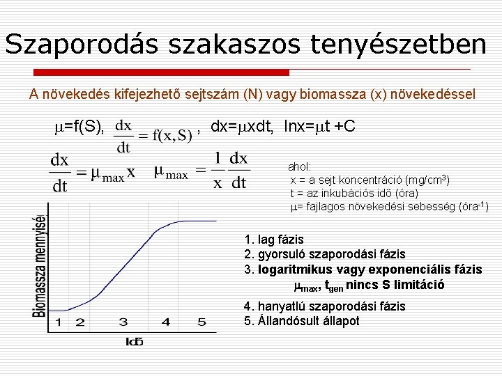 Szaporodás szakaszos tenyészetben A növekedés kifejezhető sejtszám (N) vagy biomassza (x) növekedéssel =f(S), ,
