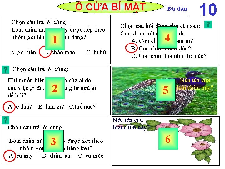 M Rng Vn T T Ng V Chim