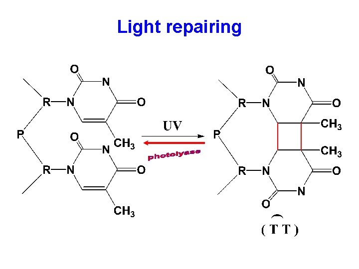 Light repairing 