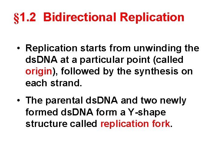 § 1. 2 Bidirectional Replication • Replication starts from unwinding the ds. DNA at