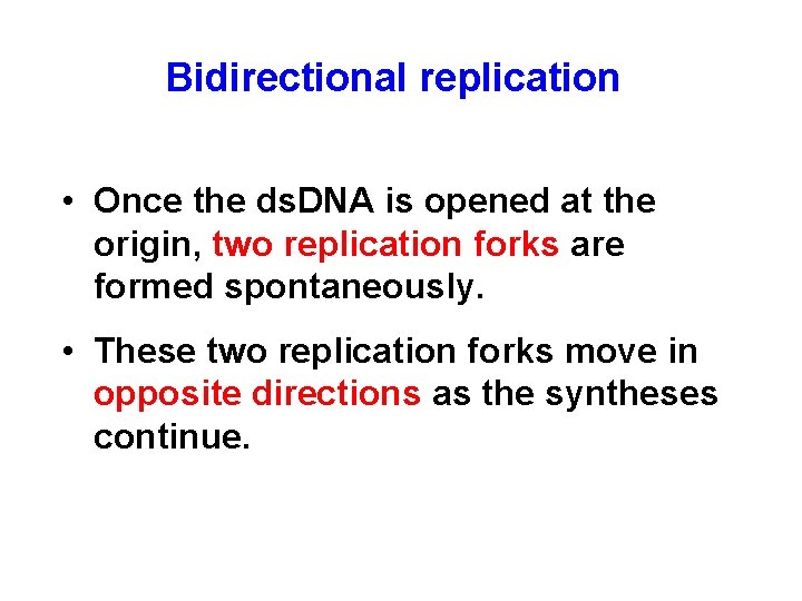 Bidirectional replication • Once the ds. DNA is opened at the origin, two replication